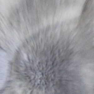 Meet your Posher, Asher